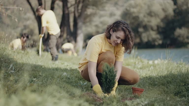 Lawn Pest Prevention in Orange, CA